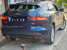 Jaguar pace on quick sale