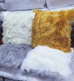 Fluffy chiwawa cases