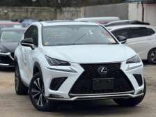 Lexus Nx300 F sport