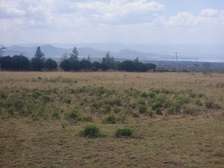 longonot view phase 4