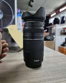 Canon EF 75-300mm f/4-5.6 III Lens
