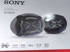 Sony 6*9 Speaker