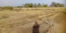 Kamulu One acre for sale