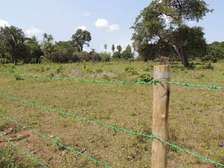 0.045 ha Residential Land at Ukunda Upperhill