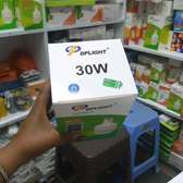 30w rechargeable bulb