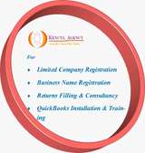 Business Registration & Tax Consultant