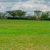Isinya diaspora plots for sale