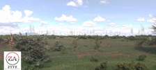 2 ac Land at Juja Farm - Near The Shopping Center