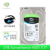 Seagate SkyHawk 2TB Surveillance Hard Drive.