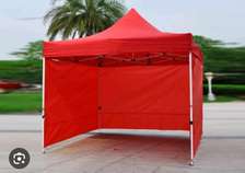 Canopy tent/gazebo tent