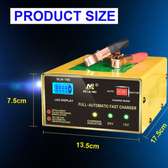 Car Battery Fast Pulse Charger