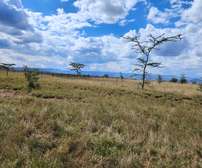 Commercial Land in Narok