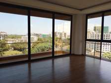 4 Bed Apartment with En Suite in Spring Valley