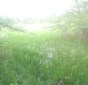 1500 Acres Touching Kiboko-River In Makindu Is For Sale