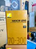 Nikkor 70-300 DX lens