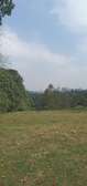 0.5 ac Residential Land in Tigoni