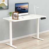 Standing Desks : Electric Adjustable Standing Desk