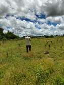 LAND FOR SALE IN TARU ( ALONG MOMBASA NAIROBI HIGHWAY)