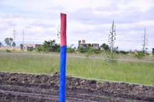 50by100 plot at Joska Malaa