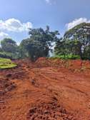 Lovely Half ( 1 / 2 ) Plots in Karen