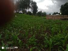 Fertile Farm Land with Rich Soil for Crop Cultivation