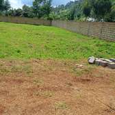50 by 100 plots in Kikuyu