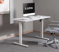 Electric Desk :  Sit Stand Up Home Office Computer Desk