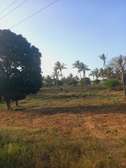 Land at Mavueni Kaloleni Road