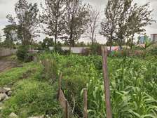 50 by 100 prime plot for sale at Githurai 45.