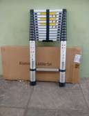 SINGLE&DOUBLE TELESCOPIC LADDERS FOR SALE