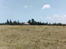 Land at Ostrich Farm