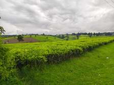 Land in Kiambu Road
