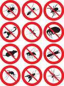 Bestcare bed bugs & cockroaches Fumigation Services Nairobi