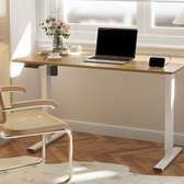 120cm Electric Office Desk