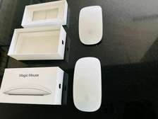 Apple Magic Mouse 2  (PREOWNED)