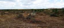 5 ac Residential Land in Athi River