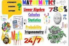 Mathematics tutor/teacher