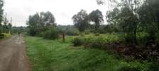 0.4 ac Land at Muthaiga