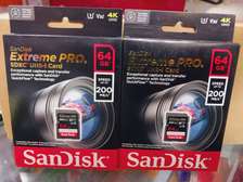 SanDisk Extreme PRO 64GB SDXC UHS-I Card 200 MBPs – SDSDXXU-