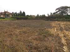 Kahawa Sukari quarter acre plot