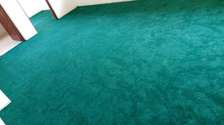 turquoise wall to wall carpet