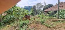1.0 ac Land in Westlands Area