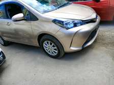 Toyota vitz Gold1300cc