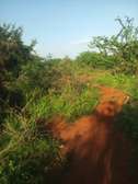 50 Acres Is Available For Sale in Mutha Kitui County