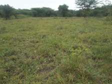 6 ac Land in Ongata Rongai
