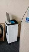 10 litres air cooler with remote control