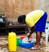 Professional Domestic Help Services in MURANGA