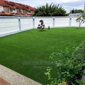 Premium Artificial Grass carpets.,