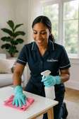 Professional nannies available