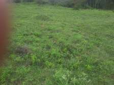 0.113 ac Land in Ngong